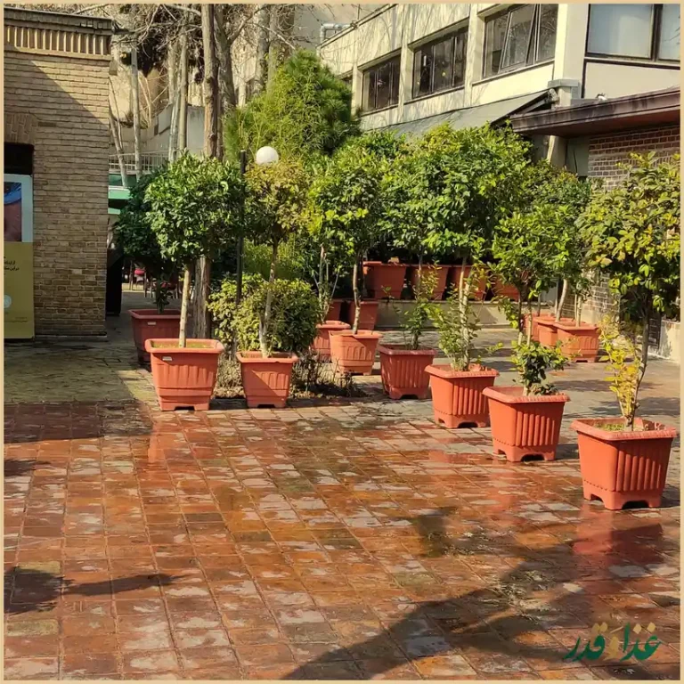 کافه رستوران باغ کاریز