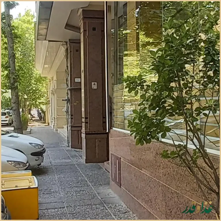 فستفود مرغ سوخاری چیگن