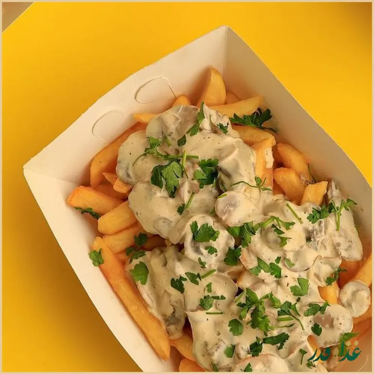 فستفود مرغ سوخاری چیگن