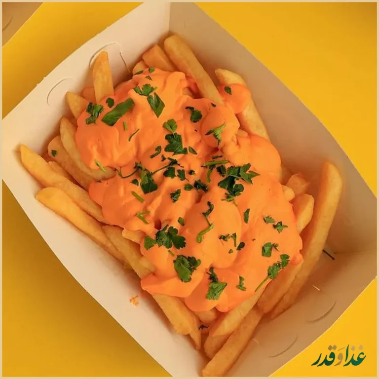 فستفود مرغ سوخاری چیگن