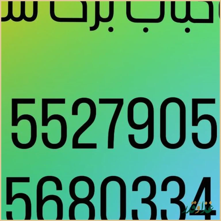 چلوکباب برگ سبز