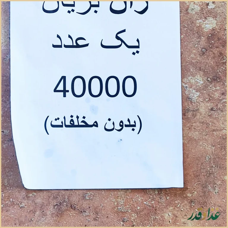 مرغ بریان ملاصدرا