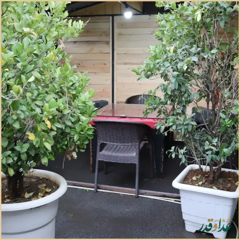 باغچه رستوران ونوس شهران