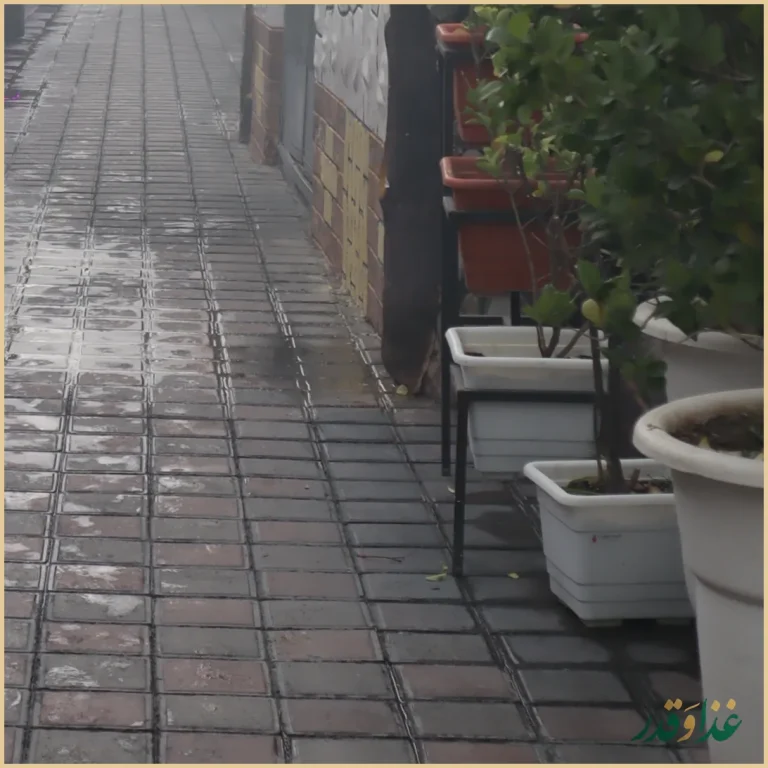 باغچه رستوران ونوس شهران