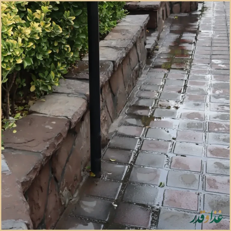 باغچه رستوران ونوس شهران