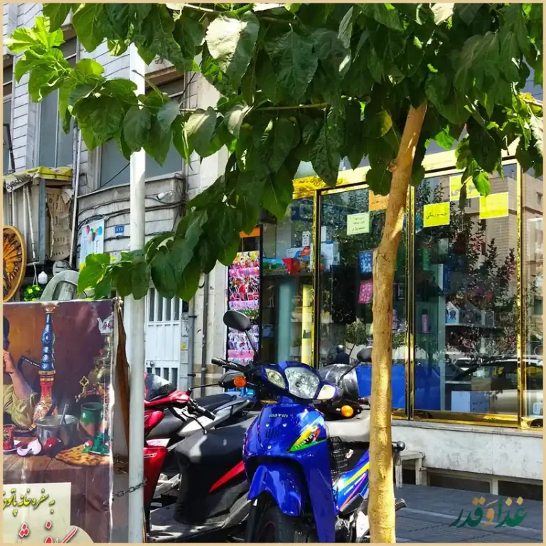 سفره خانه سنتی پاتوق