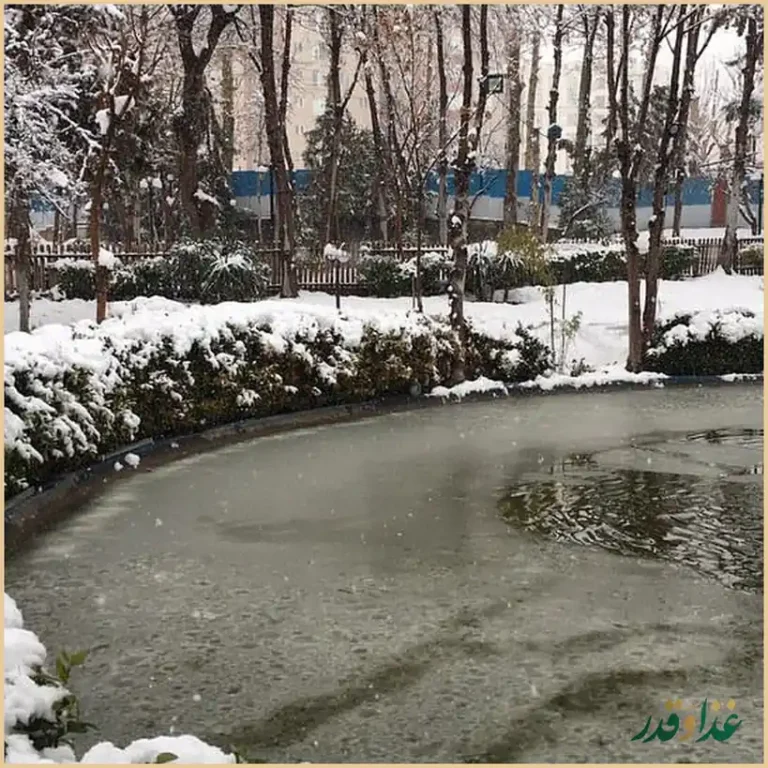 رستوران باغ لاله