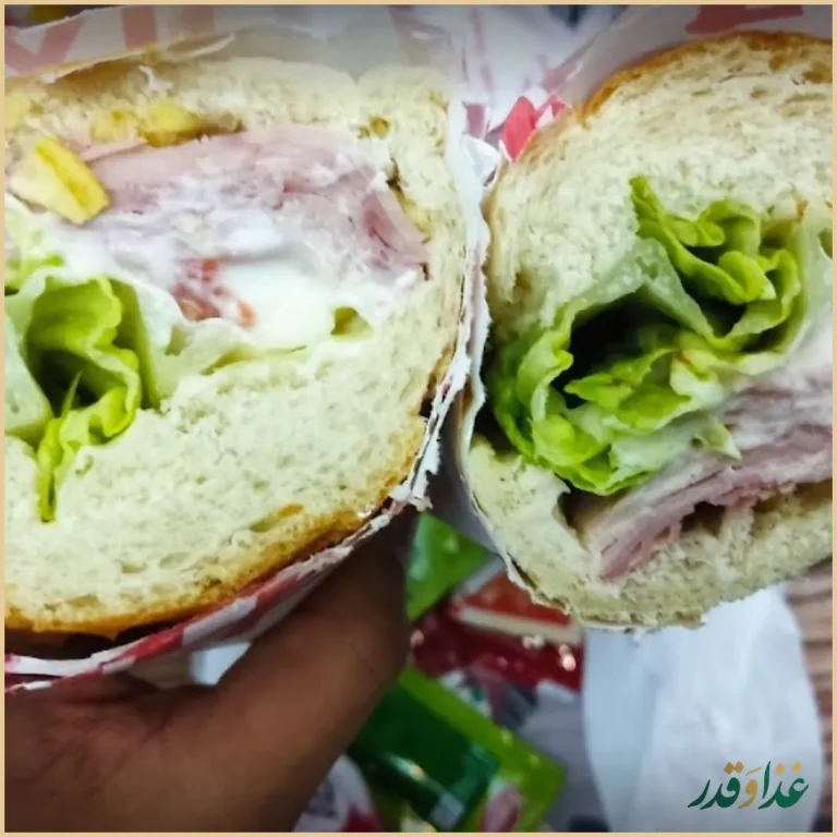 فست فود هایدا پیروزی