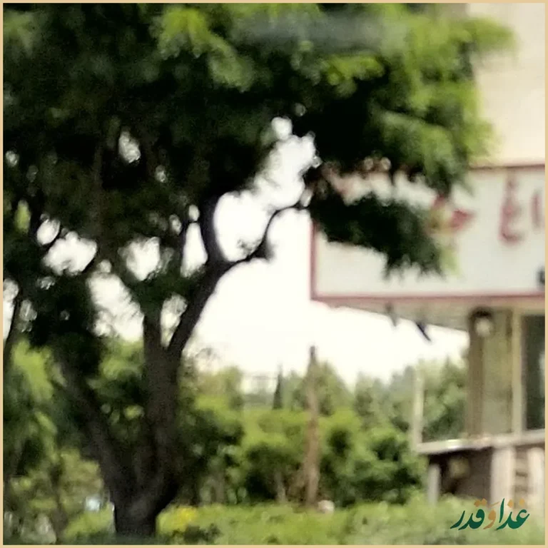 نان داغ و کباب داغ