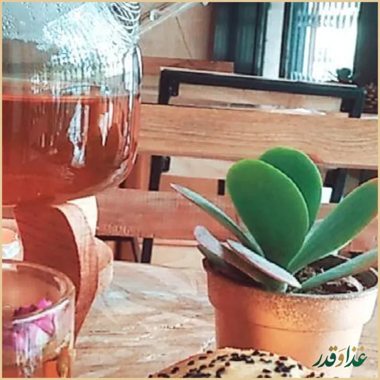 کافه آریانا