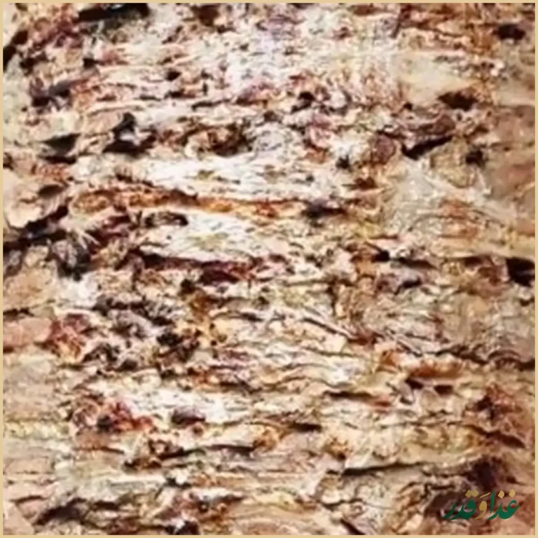 رستوران ابوعلی