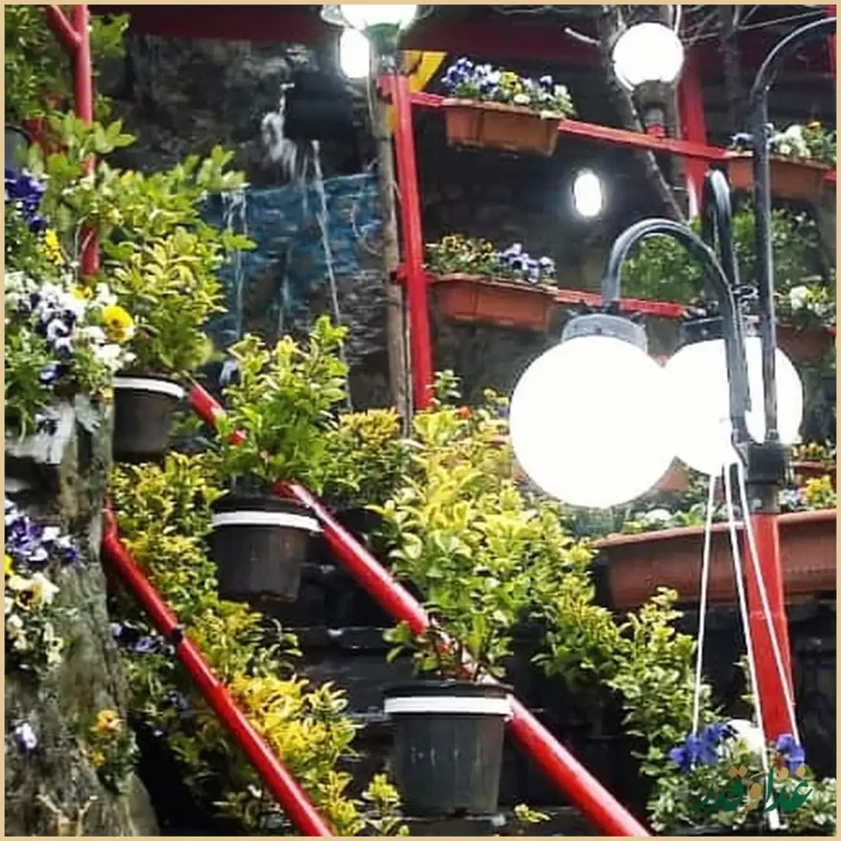 رستوران صخره