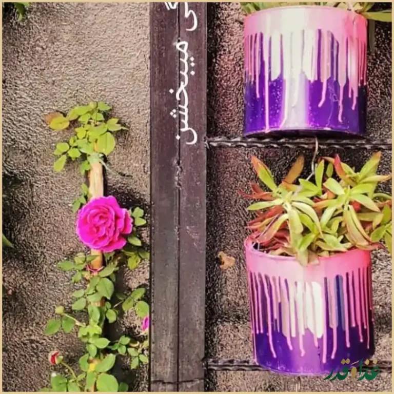 عمارت بیستروپاپ