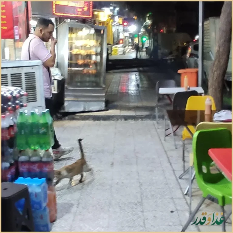 ساندویچ ویژه اژدر زاپاتا