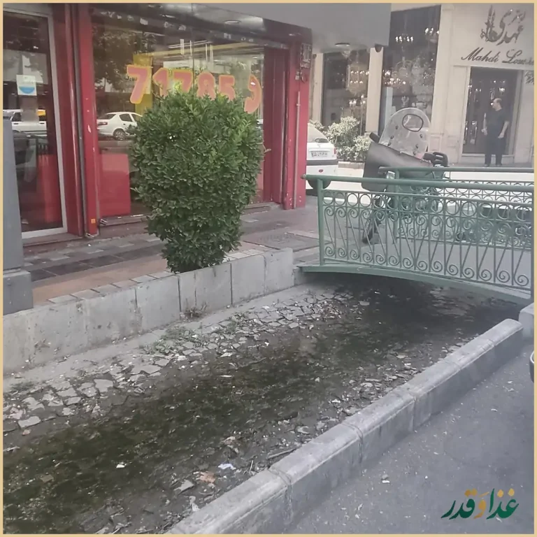 فست فود سوپر استار