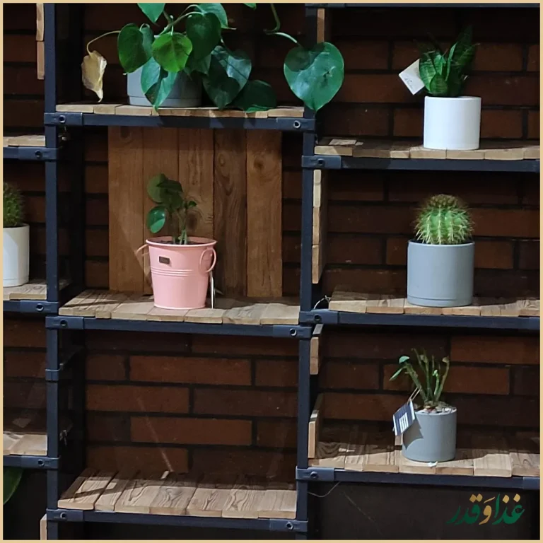 کافه رستوران لونیکو