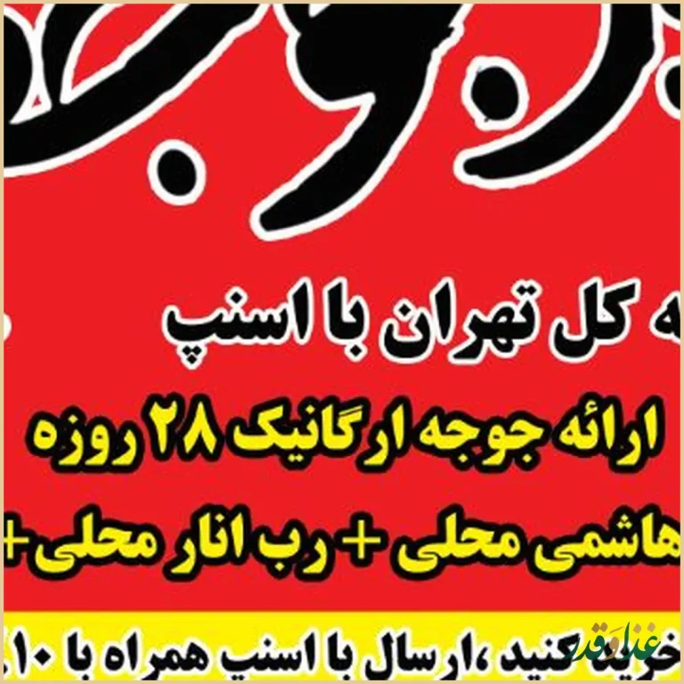 اکبرجوجه برادران کلبادی