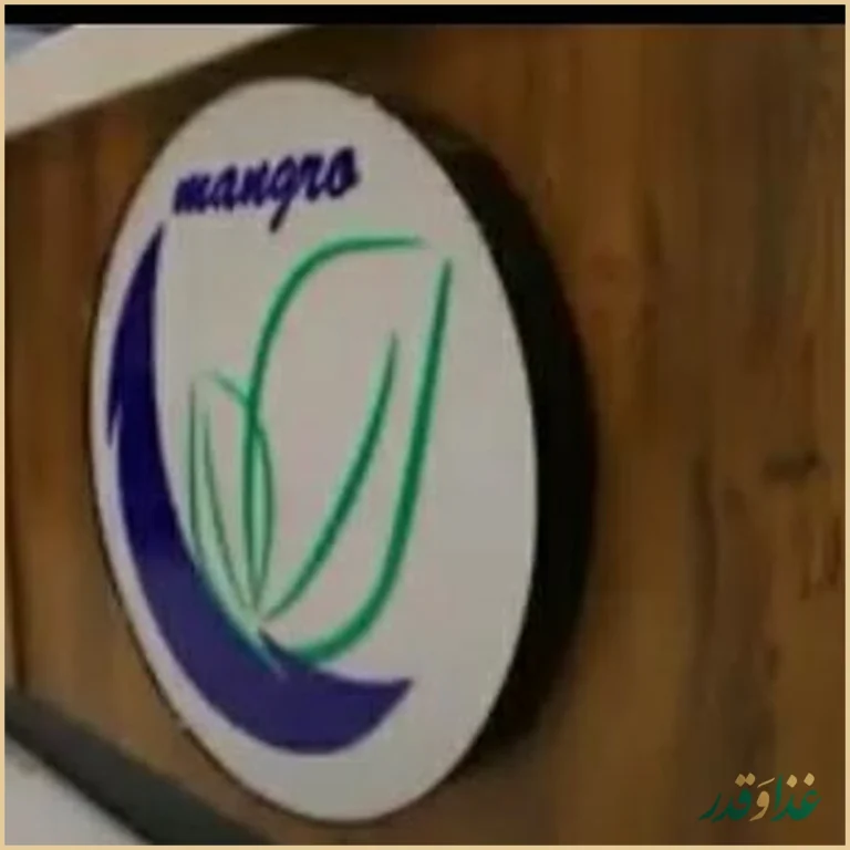 فست فود ايتاليايي مانگرو