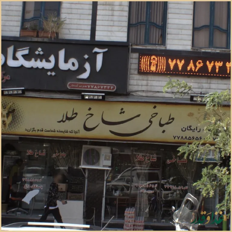 طباخی شاخ طلا