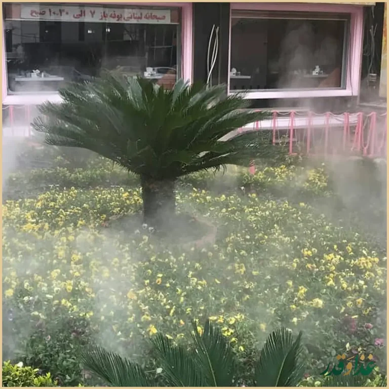 رستوران عروس لبنان