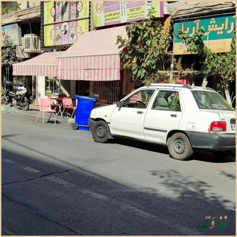 فست فود مرغابی زیبا