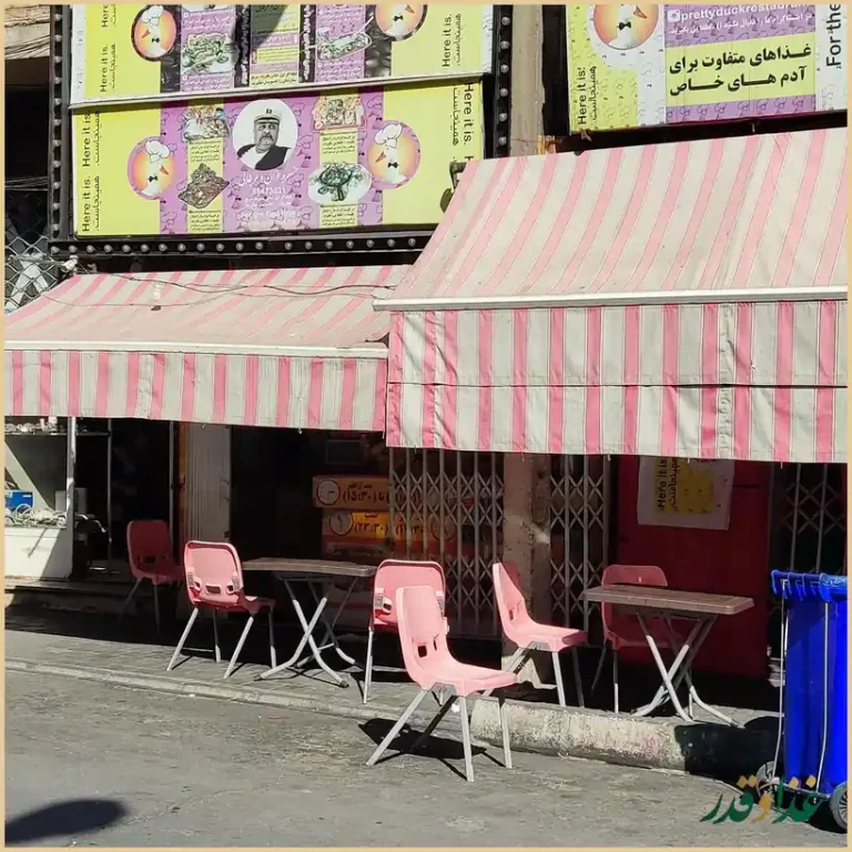 فست فود مرغابی زیبا