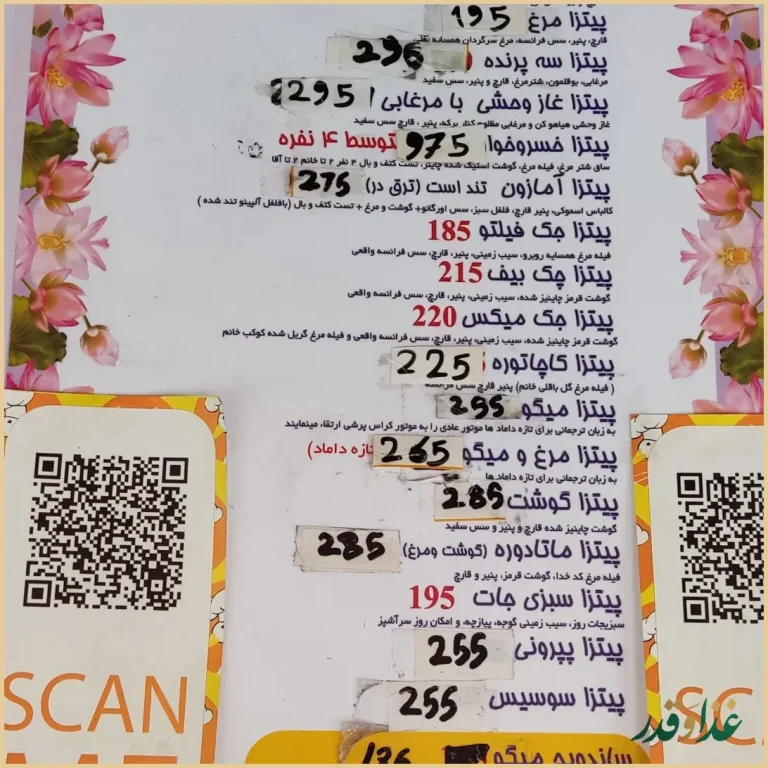 فست فود مرغابی زیبا