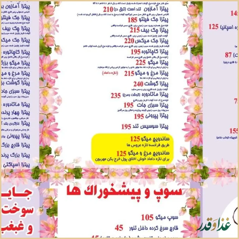 فست فود مرغابی زیبا