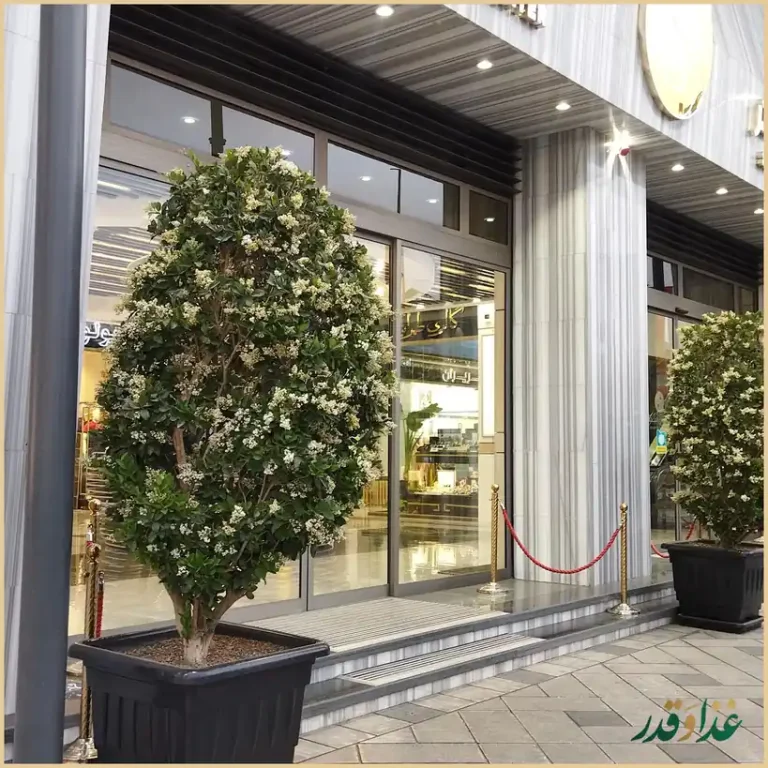 رستوران ارکیده اقدسیه