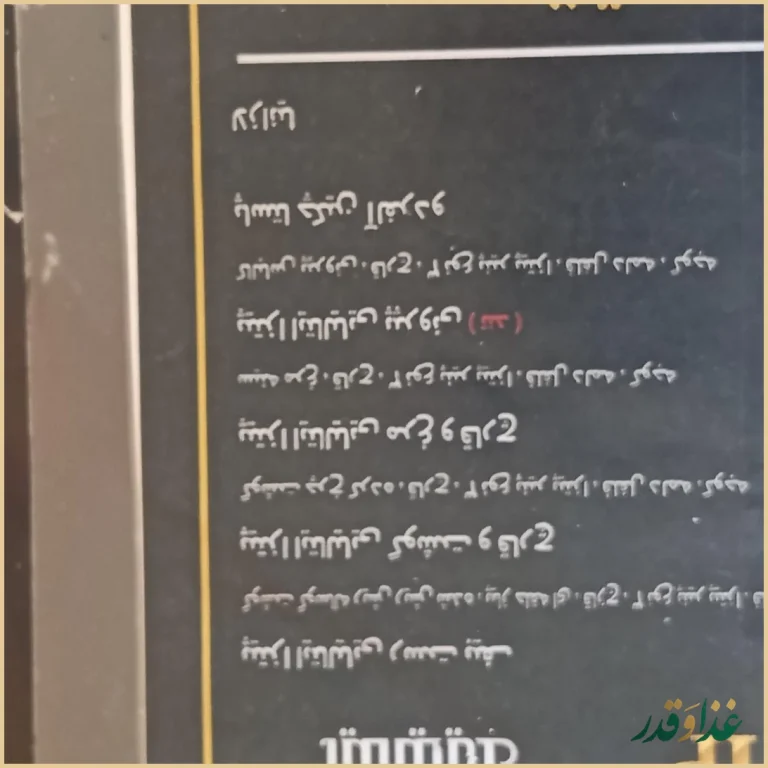 فست فود سالارخان