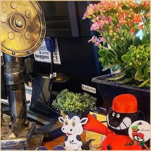 فست فود شوالیه