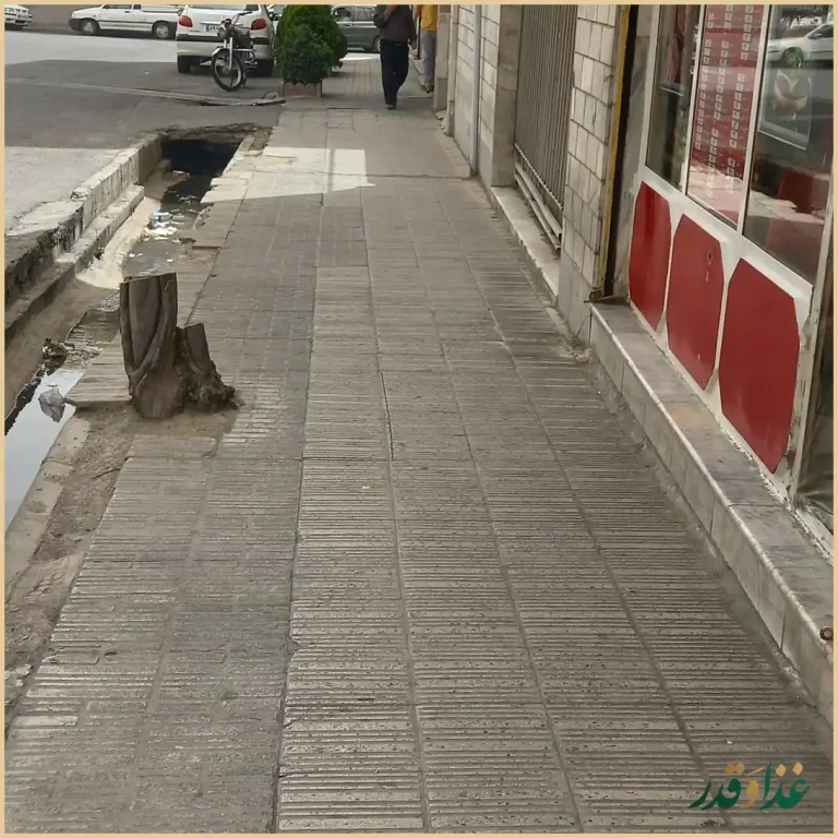 فلافل سید 1001