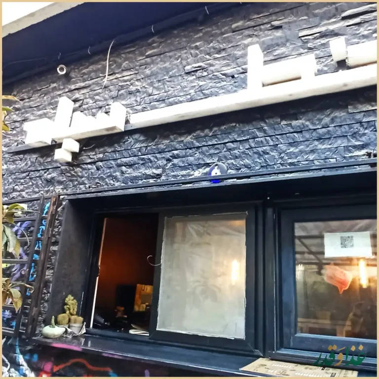 فست فود خط سیاه