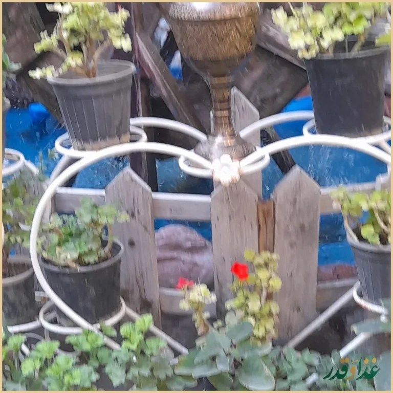 باغچه رستوران و کافی شاپ نان و نمک شهران