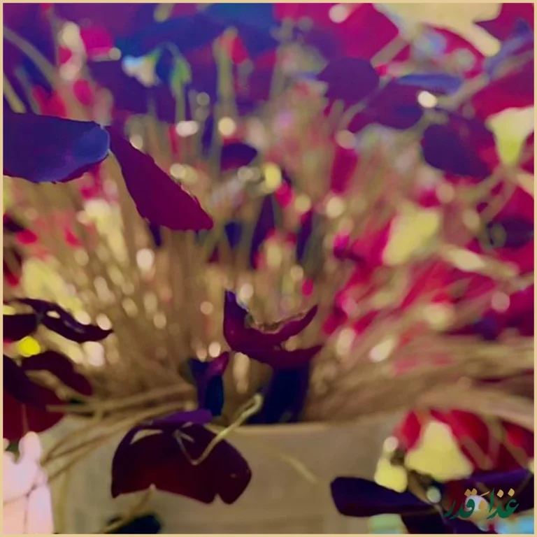 رستوران آبشار کارا و بند عبدالله