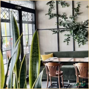 کافه رستوران فنو