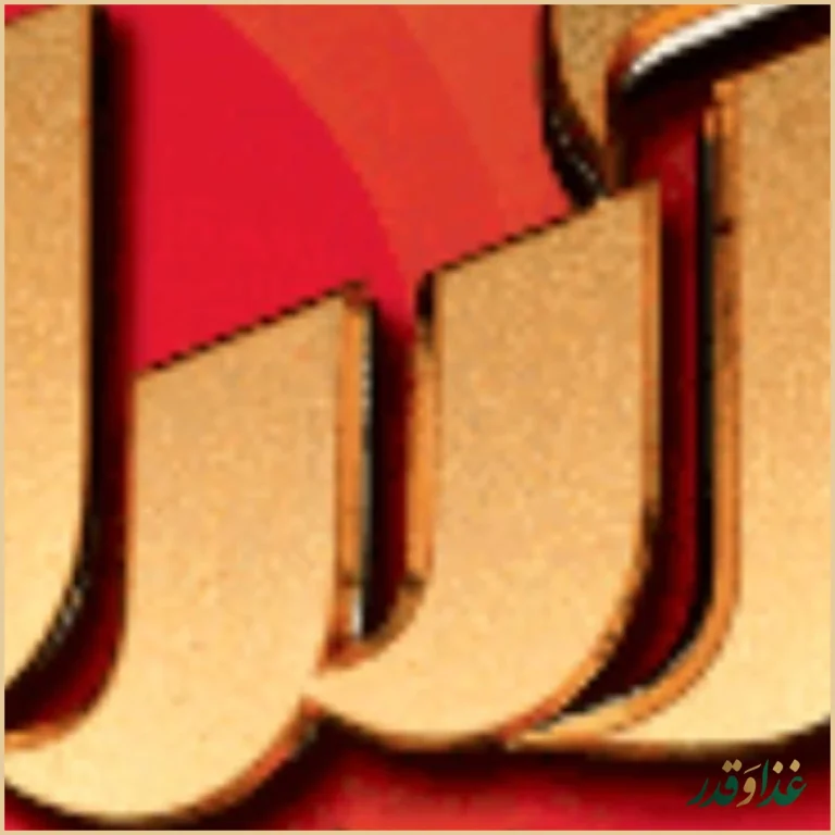 فست فود آیدا