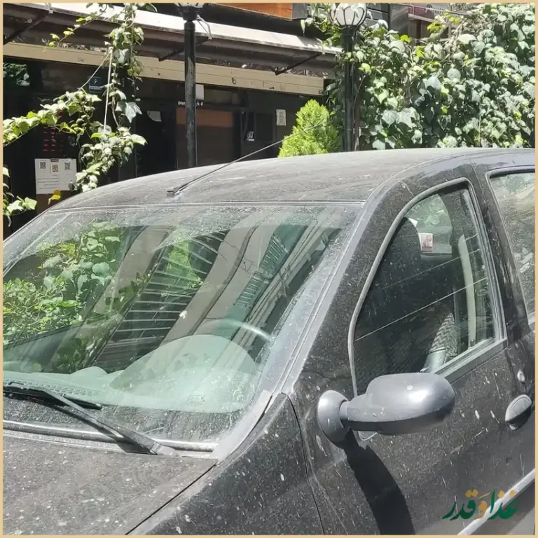 فست فود پیتزا میخوش