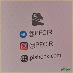 فست فود پیشوک