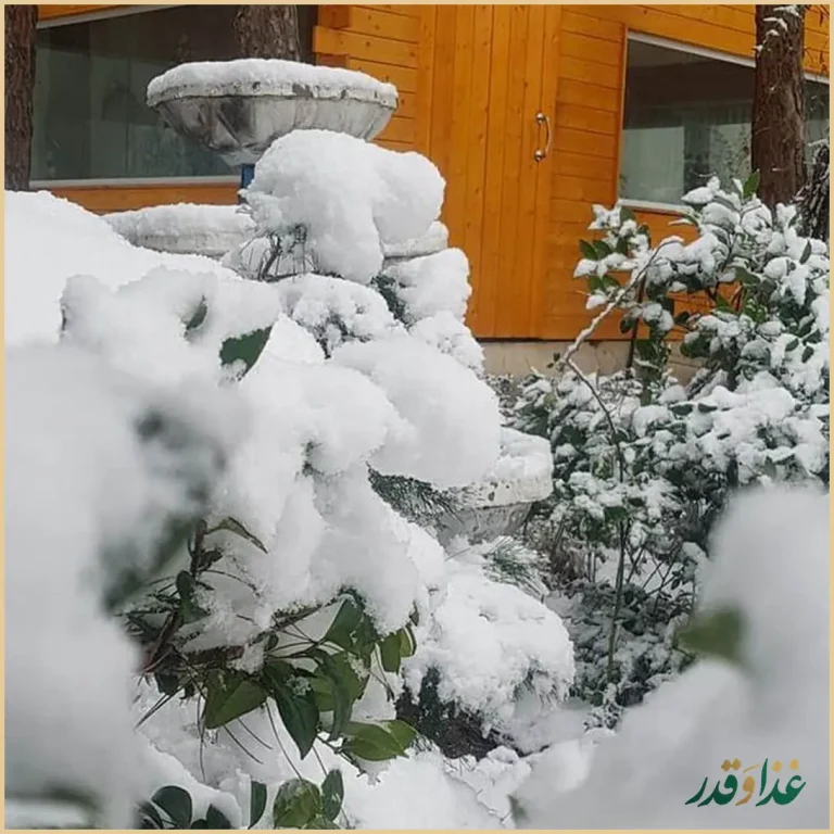 باغ رستوران بهشت پنهان