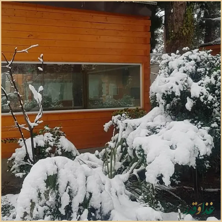 باغ رستوران بهشت پنهان