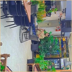 کافه رستوران بادوس