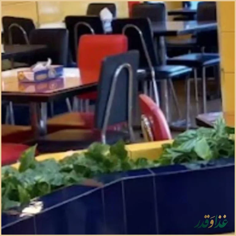 فست فود جاسمین