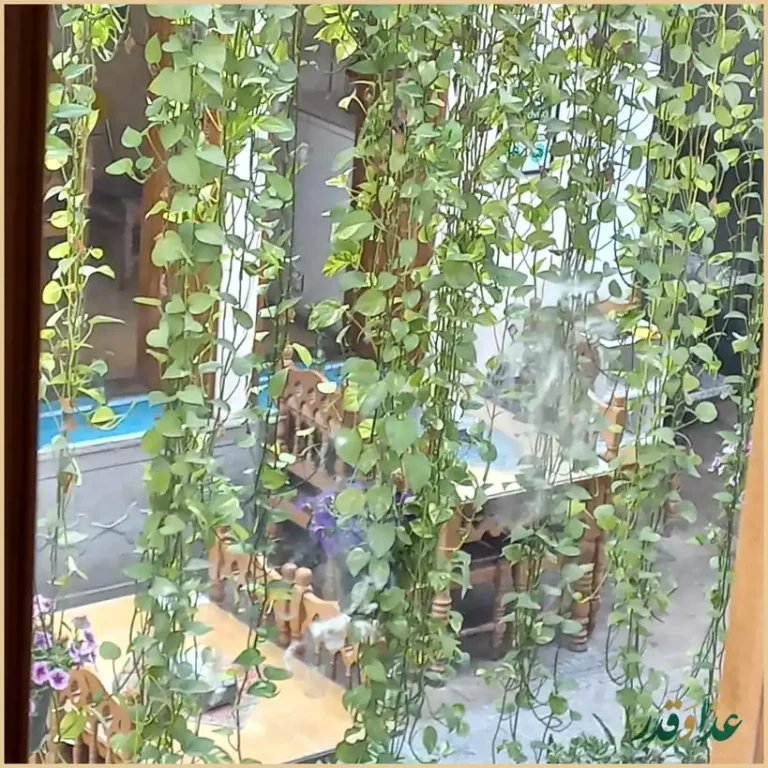 کافه رستوران خانه تاریخی همدم السلطنه