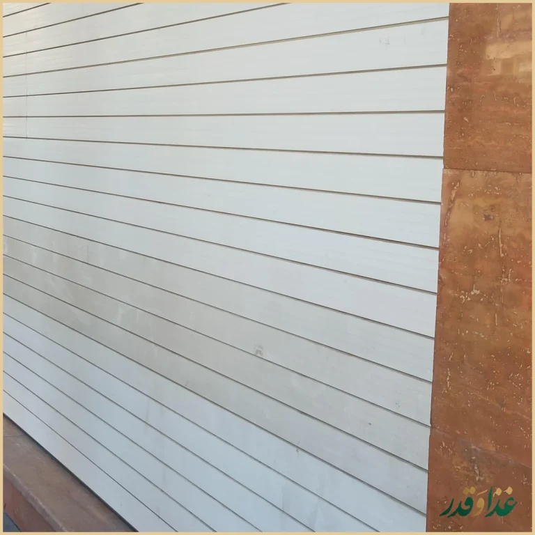 پیتزا پارسا