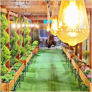 کافه رستوران شایلی لند