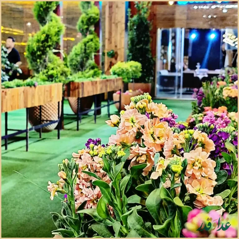 کافه رستوران شایلی لند