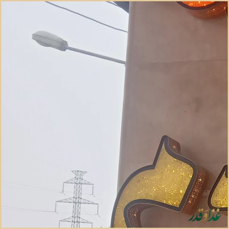 فست فود گندم