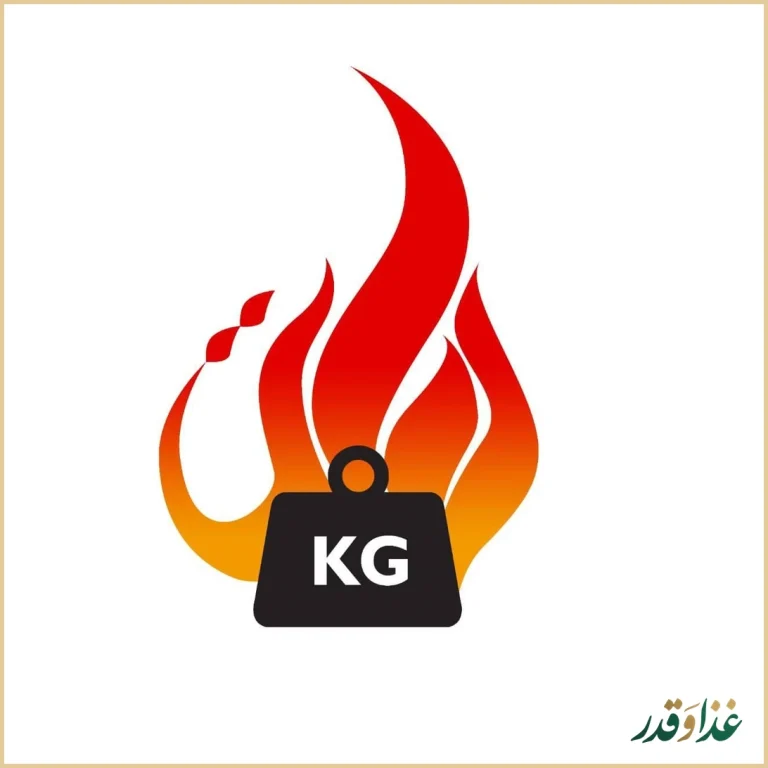 فست فود هات کیلو