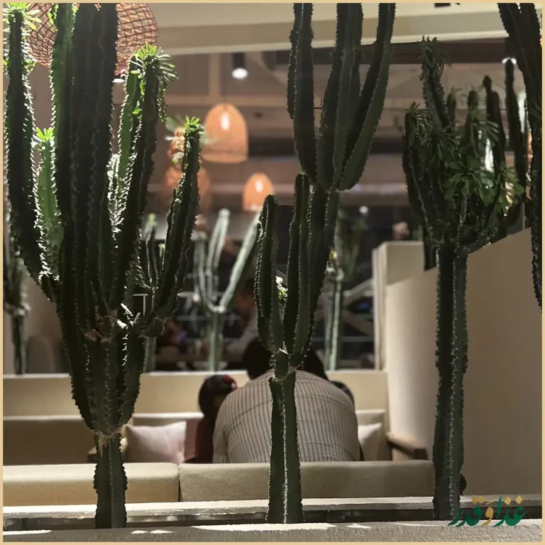 فست فود کنزا